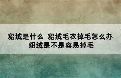 貂绒是什么  貂绒毛衣掉毛怎么办 貂绒是不是容易掉毛